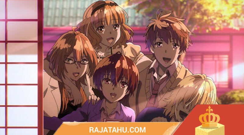 20 Harem Ecchi Anime With Best Romance Genre - Raja Tahu